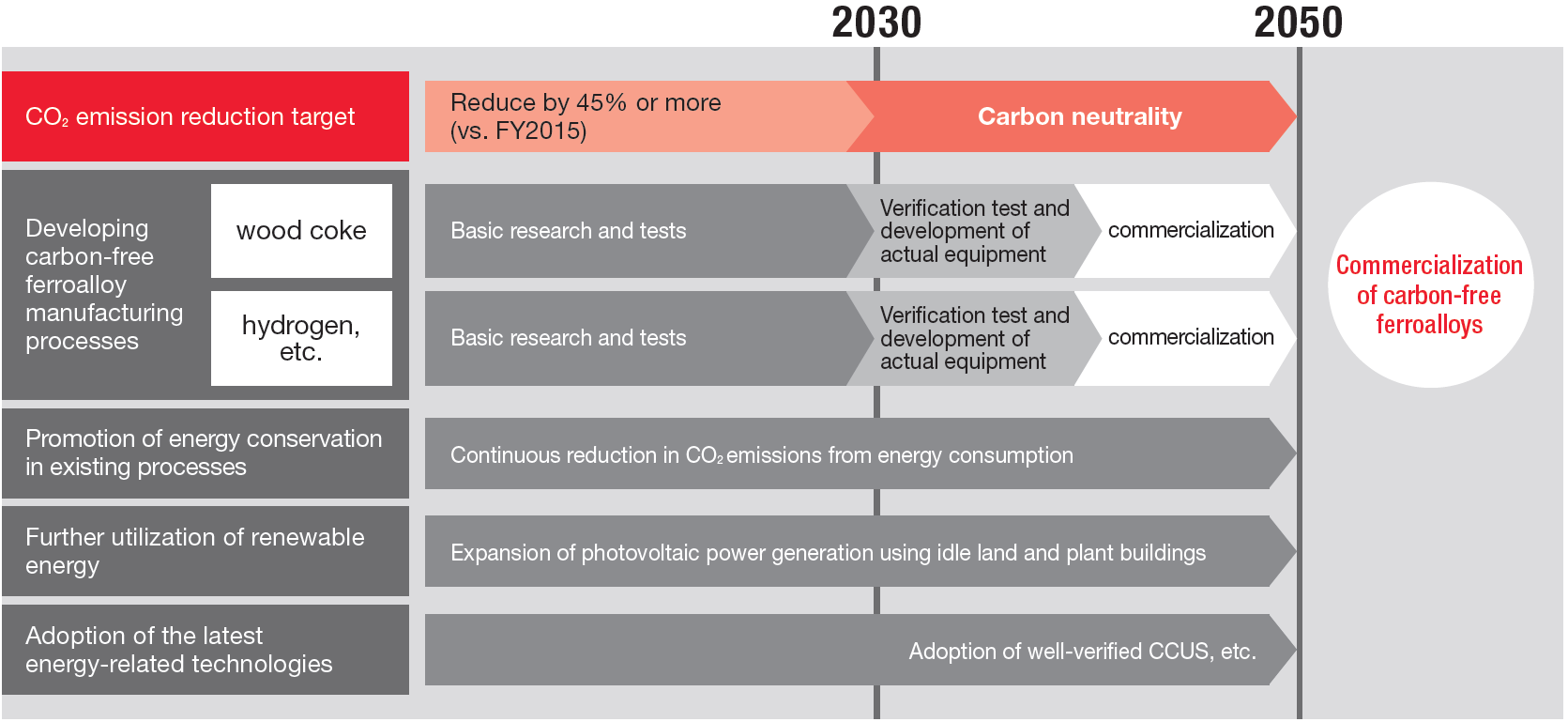 Roadmap toward Carbon Neutrality